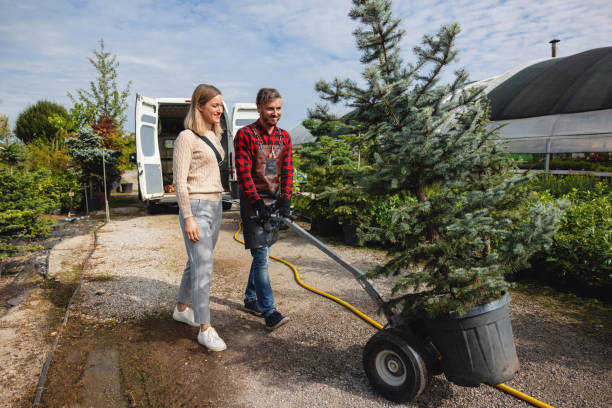 How Our Tree Care Process Works  in  Bell Acres, PA